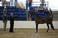 08r14-1225 proof