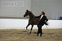 08r14-1231 proof
