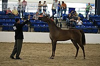 08r14-1250 proof