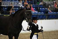 08r14-1266 proof