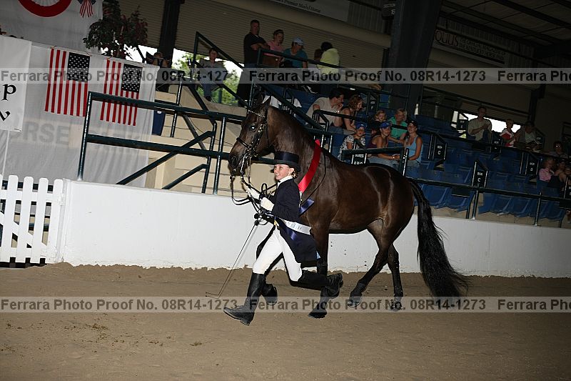 Proof 08r14-1273