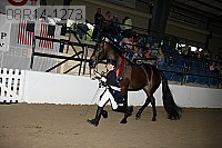 08r14-1273 proof