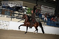 08r14-1276 proof