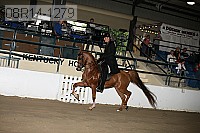 08r14-1279 proof