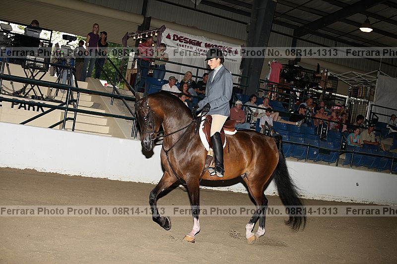 Proof 08r14-1313