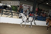 08r14-1317 proof