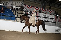 08r14-1362 proof