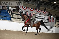 08r14-1383 proof
