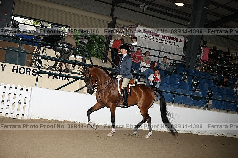 Proof 08r14-1396