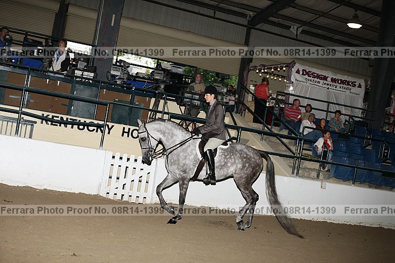 Proof 08r14-1399