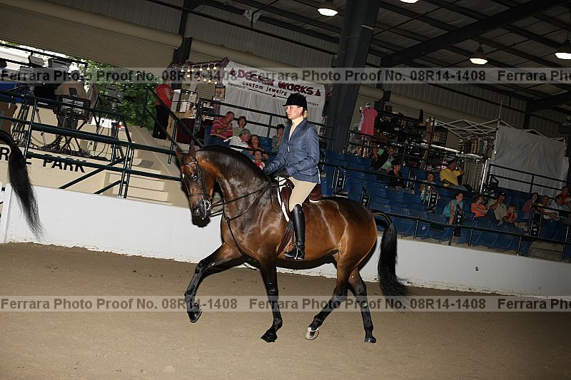 Proof 08r14-1408
