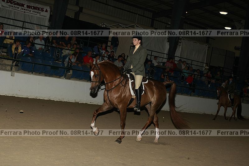 Proof 08r14-1677