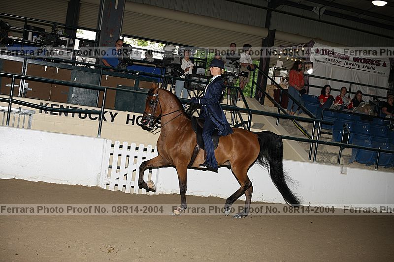Proof 08r14-2004