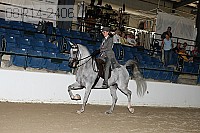 08r14-2406 proof