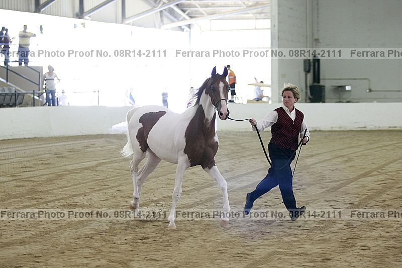 Proof 08r14-2111