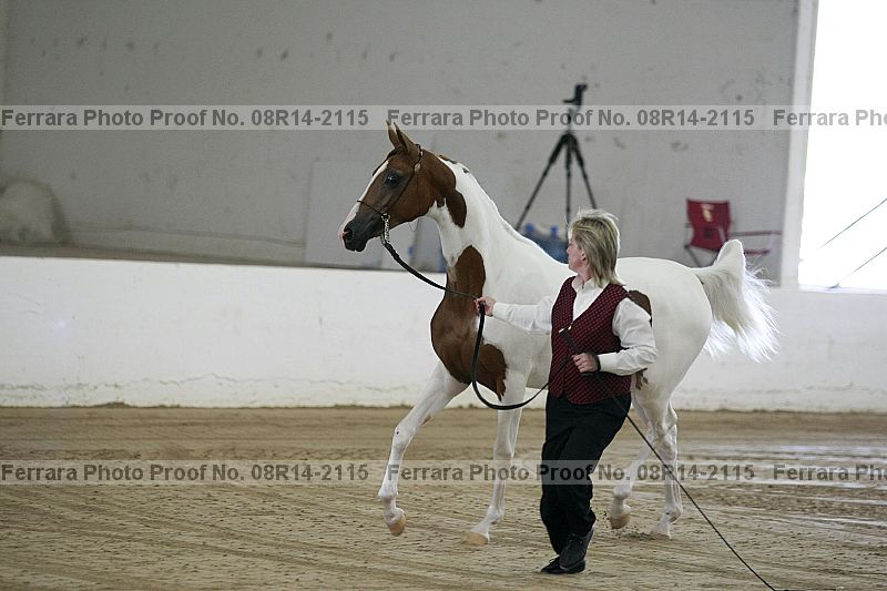 Proof 08r14-2115