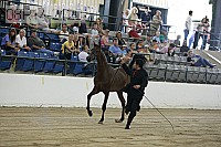 08r14-2120 proof