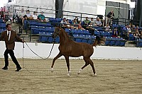 08r14-2122 proof