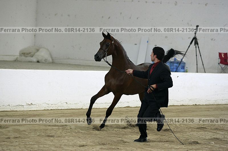 Proof 08r14-2136