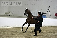 08r14-2136 proof