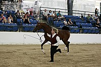 08r14-2149 proof