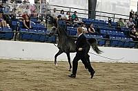 08r14-2154 proof