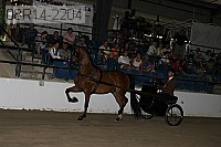 08r14-2204 proof
