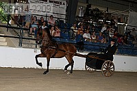 08r14-2209 proof