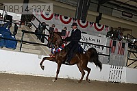 08r14-2374 proof