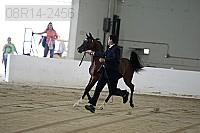 08r14-2456 proof