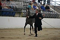 08r14-2464 proof