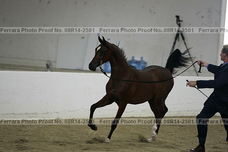 Proof 08r14-2501