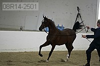 08r14-2501 proof