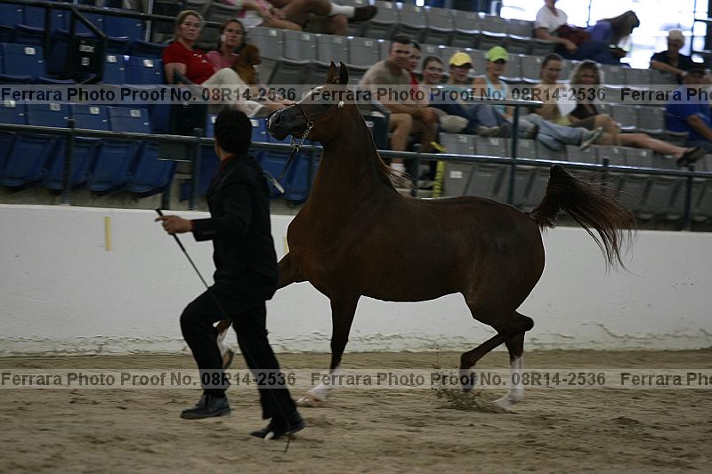 Proof 08r14-2536