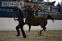 08r14-2536 proof