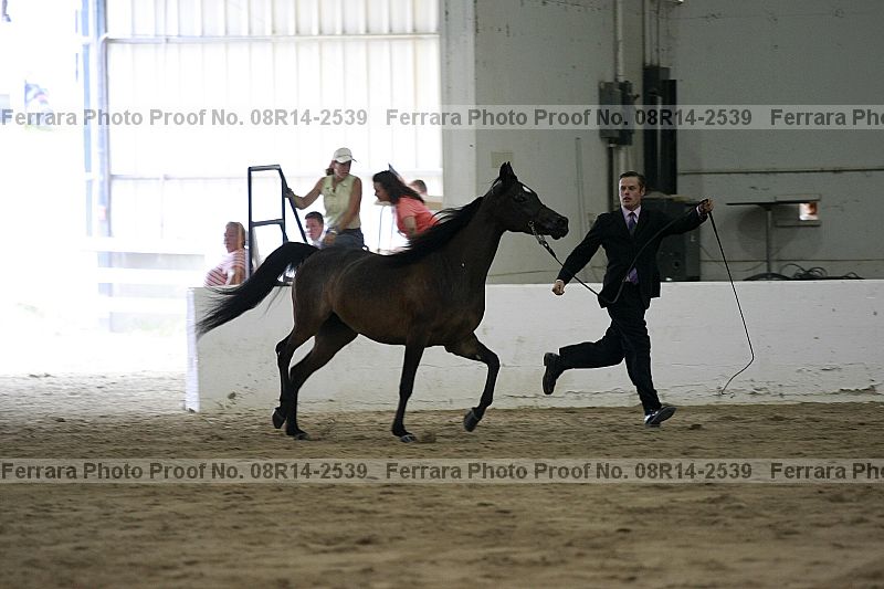 Proof 08r14-2539