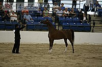 08r14-2554 proof
