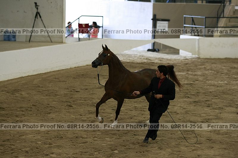 Proof 08r14-2556