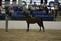 08r14-2563 proof