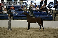 08r14-2564 proof