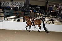 08r14-2628 proof