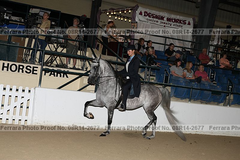 Proof 08r14-2677