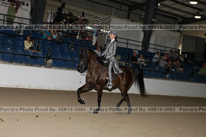 Proof 08r14-3065