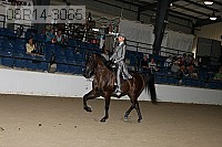 08r14-3065 proof