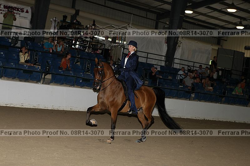 Proof 08r14-3070