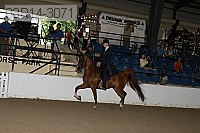 08r14-3071 proof