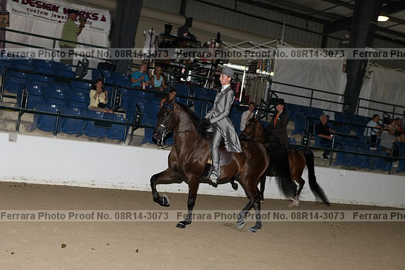 Proof 08r14-3073