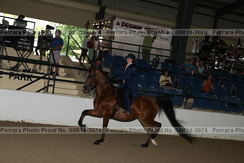 Proof 08r14-3074