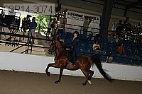 08r14-3074 proof