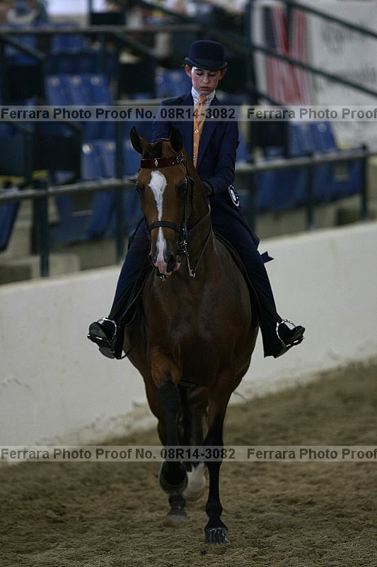 Proof 08r14-3082